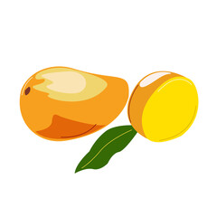 Mango sweet yellow ripe fruit on a white background.