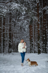Blonde young female with ginger white chihuahua and welsh corgi pembroke in a snowy forest in winter