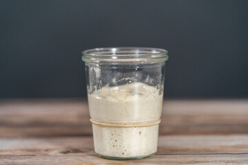 Sourdough starter