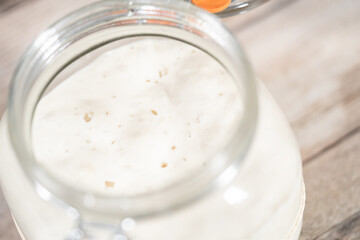 Sourdough starter
