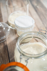 Sourdough starter