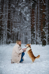 Young blonde female is playing with her welsh corgi pembroke in a winter snowy forest