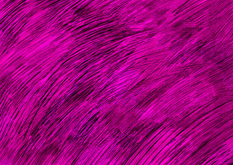 Hand-drawn Pattern Hair/Straw/Fur