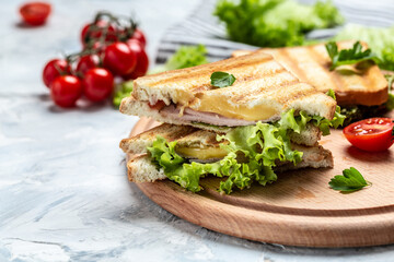 Grilled and pressed toast with smoked ham, cheese, tomato and lettuce. Pressed and toasted double panini. banner, menu, recipe, place for text