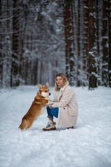 Fototapeta na wymiar Young blonde female is playing with her welsh corgi pembroke in a winter snowy forest