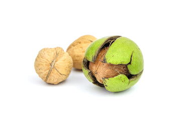 Walnut in cracked pericarp isolated on white background