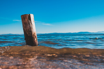 Wooden pile washed by the blue waters of the lake with the mountains in the background