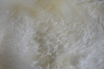 close up of fur