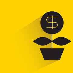 dollar plant for investment concept with shadow yellow background