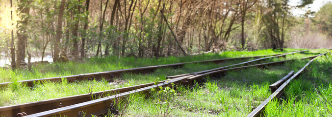 Old railway tracks overgrown with green grass. Panorama of the road for trains.