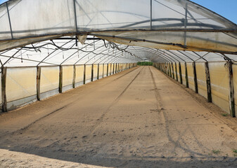 Inside a greenhouse with fertile sandy soil ready for planting vegetables