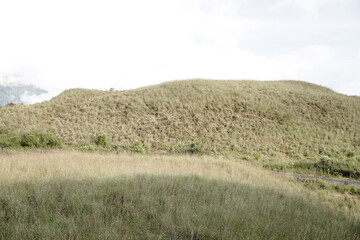 Obraz premium Crater hill of Kawah Wurung on the top of Mount Ijen and Mount Merapi at Bondowoso, Indonesia. Natural landscape background.