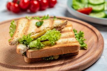 Fototapeta na wymiar Hot panini with salad. Food recipe background. Close up