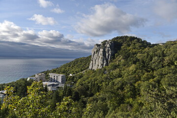 Yalta, Crimea - 10.16.2015 : Different types of vegetation in a mountainous area against the background of buildings near the Black Sea coast.