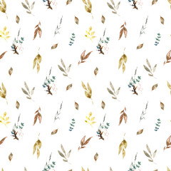 Watercolor illustration. Seamless pattern on a white background with flora elements. Seamless design with wild dry herbs, flowers, etc.