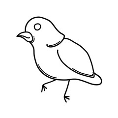 Obraz premium Bird Doodle vector icon. Drawing sketch illustration hand drawn cartoon line eps10