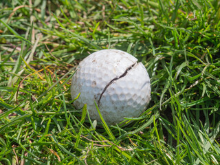 Cracked golf ball lies in the tall green grass