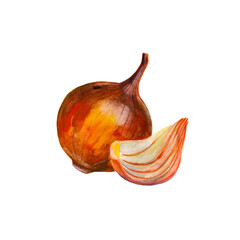 Onions bulb and slice spice.  Onion set  isolated on white background. Watercolor hand drawn illustration. - 433208411