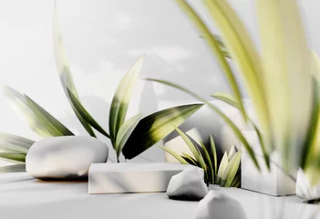 Poster 3D render podium, showcase on light white background with shadows in green tropical leaves of plants. Abstract natural,organic background for advertising products, spa body care, relaxation, health. © Jools_art
