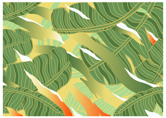 Banana leaf background