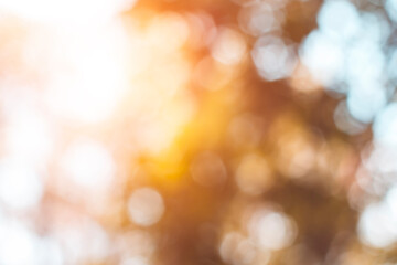 lights defocused background. Natural bokeh with sun light styled for your desig