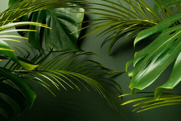 Obraz na płótnie Canvas Green leaves of Monstera plant growing in wild, the tropical forest plant, summer palm background.