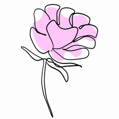 One line flower. Vector. The peony is monophonic, the drawing is simple. Floral element for design, outline. Solid black line and pink spot.