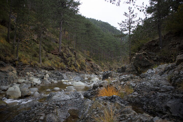 The legendary Arkoudorema (bear`s stream) streamlet, with part of Aoos River. At Pindus National Park (Valia Calda).