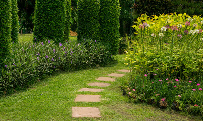 Stepping walkway in small garden greenery shrubs  and flower
