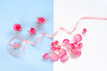 Pink roses with curl ribbon over white and blue background with space for sweet love celebration concept on special occasion