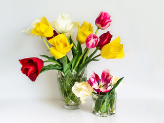 bright bouquet of multicolored tulips for your birthday for your beloved