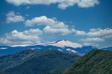 Sunny Mountain Landscape