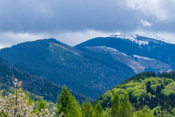Fototapeta premium Clouds in Mountains
