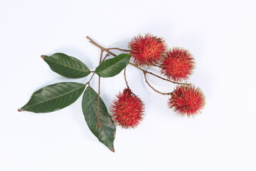 Rambutan fruit