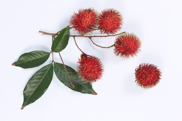 Rambutan fruit