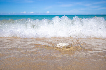 Beautiful waves In the beautiful sea