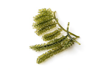 sea grapes or green cavier isolated on a white background, it is an edible aquatic plant, has a...