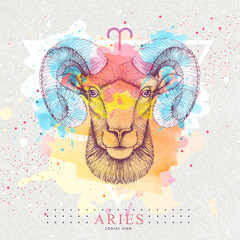 Modern magic witchcraft card with astrology Aries zodiac sign on artistic watercolor background. Realistic hand drawing ram or mouflon head. Zodiac characteristic