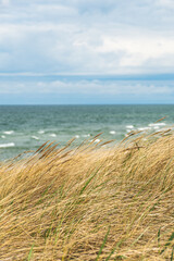 Fototapeta na wymiar Beautiful rough blue sea with waves and sandy beach with reeds and dry grass among the dunes, travel in summer and holidays concept, vertical