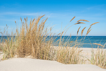 Beautiful calm blue sea with waves and sandy beach with reeds and dry grass among the dunes, travel...