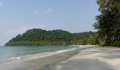 Coconut palms on the paradise coconut island