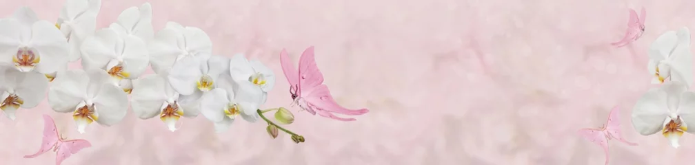 Foto auf Alu-Dibond rosa Schmetterling und weiße Orchidee © danilag