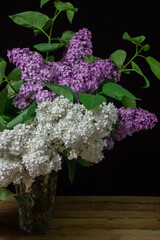 Lilacs of different varieties on a black background. Spring flowers. Lilac on a dark background
