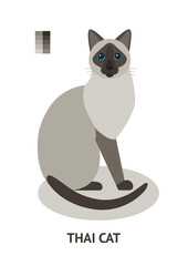 Thai cat - vector illustration in flat style