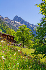 Allgäu - Oberstdorf - Gerstruben - Bergdorf - Höfats - Frühling - Hochformat