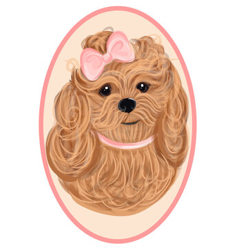 Labradoodle,Goldendoodle. Cute shorthaired poodle. Vector illustration on a white background.