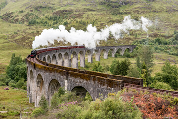 Obraz premium Train on viaduct