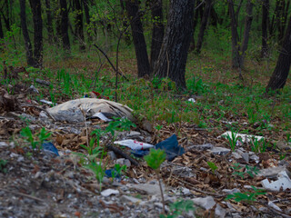 Garbage pollution in forest. Ecological problem with trash dump in nature.