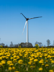 Wind mill in summer landscape with turbine burnt down by fire accident