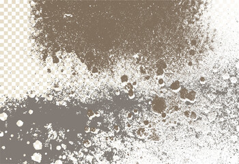 Mold, mildew, decay, stains, splashes, explosion. On an isolated background. Trail of grunge blots and splashes. Vector pattern of natural origin.